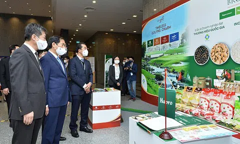 Ba Thương hiệu Quốc gia của Tập đoàn BRG quảng bá hình ảnh và sản phẩm tại sự kiện Ngoại giao lớn năm 2021