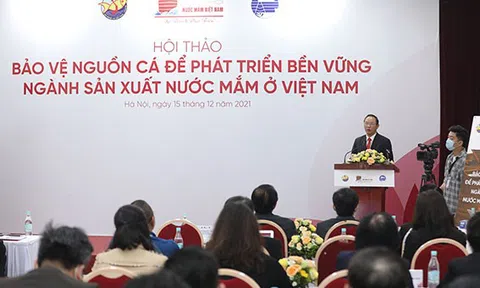 Sản xuất nước mắm cần phải đi đôi với bảo vệ nguồn lợi thủy sản