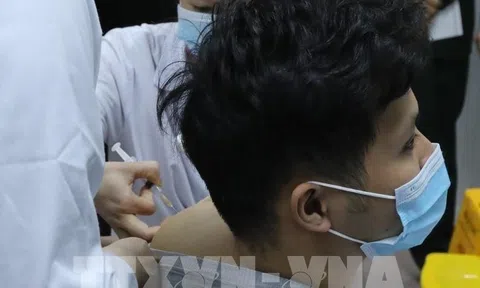 Vaccine Nanocovax đạt yêu cầu về an toàn và tính sinh miễn dịch