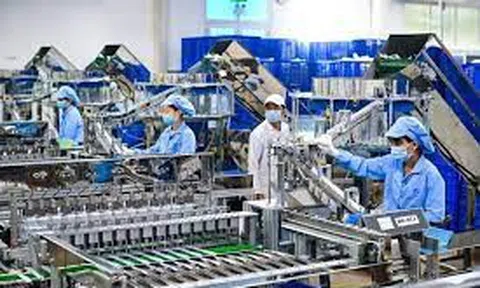 Tổng cục Hải quan hướng dẫn kiểm tra, giám sát và chính sách thuế với doanh nghiệp chế xuất