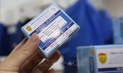Bộ Công an: Điều tra triệt để vụ án tại Công ty Việt Á