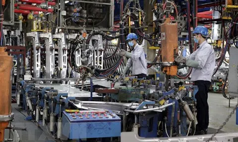 Năm 2022 kinh tế thế giới được dự báo tăng trưởng bền vững hơn
