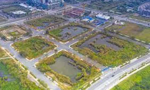 4 bất cập về pháp luật đấu giá đất, nhìn từ vụ 4 lô đất Thủ Thiêm
