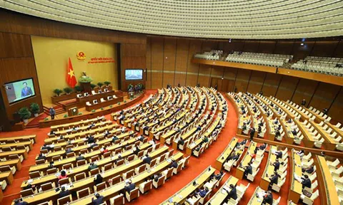 Chính phủ báo cáo Quốc hội: Công ty Việt Á trục lợi và những tiêu cực, lợi ích nhóm trong phòng, chống dịch Covid-19