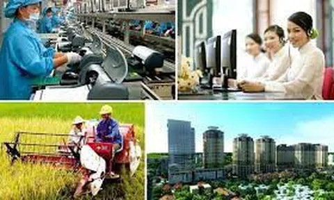 Chính sách tài chính đối với phát triển kinh tế tư nhân: kinh nghiệm quốc tế và khả năng vận dụng vào Việt Nam