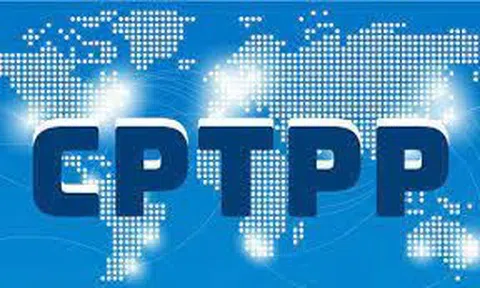 Sửa đổi hướng dẫn đấu thầu, mua sắm nội khối và theo Hiệp định CPTPP
