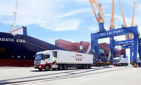 THILOGI phát triển dịch vụ logistics xuất khẩu nông sản với sản lượng lớn