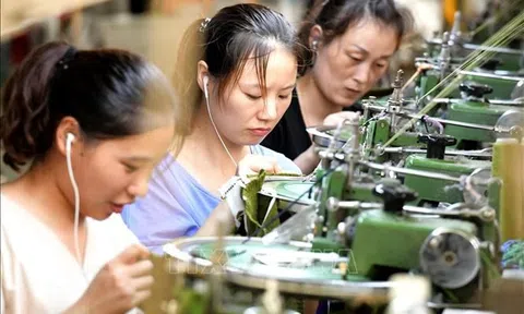 FTA tiếp tục là xung lực cho kinh tế Việt Nam tăng trưởng