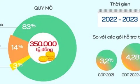 Chính phủ ban hành gói phục hồi kinh tế 350.000 tỷ đồng