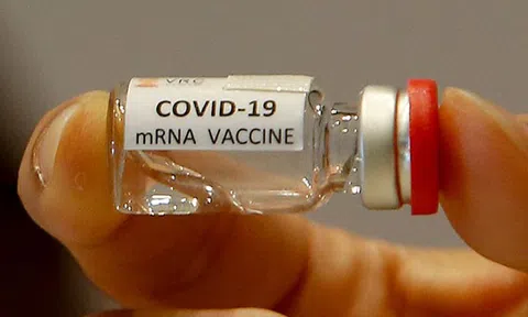 Tổng giám đốc WHO ủng hộ miễn trừ quyền sở hữu trí tuệ vaccine Covid-19