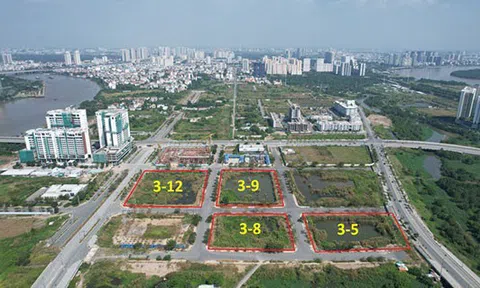 Trúng đấu giá rồi bỏ cọc - Hành vi bất khả hay chủ ý từ trước?