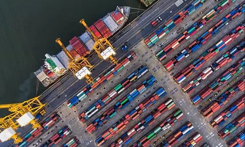 Dấu hiệu lừa đảo gần 100 container nhân điều xuất sang Italy