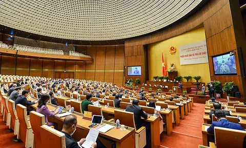 Có cơ sở pháp luật để xử lý sai phạm trong đấu giá đất