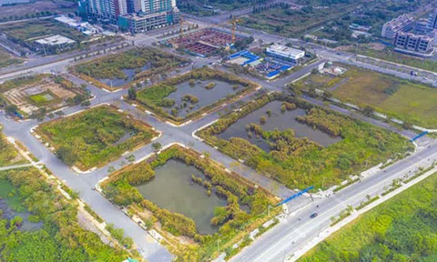 Lũng loạn đấu giá đất, Đại biểu băn khoăn có nên hình sự hóa