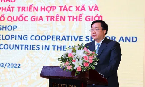 Hoàn thiện thể chế thúc đẩy phát triển khu vực kinh tế tập thể