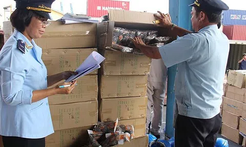 Tổng cục Hải quan bắt giữ và xử lý 2.733 vụ vi phạm pháp luật