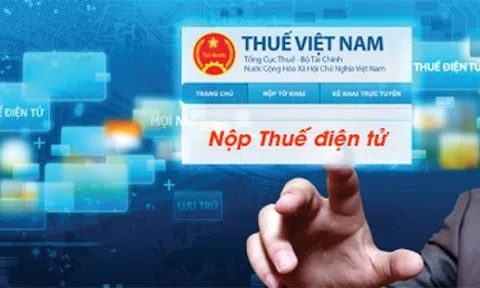 Việt Nam thực hiện đăng ký, kê khai, nộp thuế xuyên biên giới