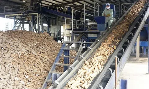 Tổng cục Thuế thông tin về công tác đấu tranh với các hành vi vi phạm trong hoàn thuế GTGT
