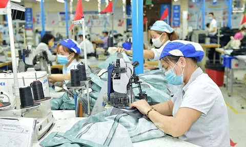 Xây dựng Nghị quyết về nâng cao hiệu quả hoạt động của doanh nghiệp nhà nước