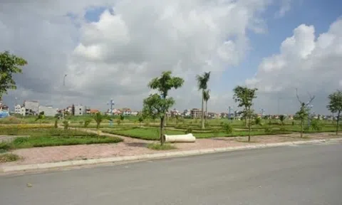 Bộ Tài nguyên Môi trường đề xuất sửa 06 Nghị định liên quan đến đất đai, bỏ cọc có thể bị cấm tham gia đấu giá đất trong 05 năm