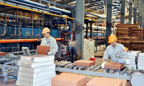 Kinh doanh liêm chính để vươn tầm quốc tế