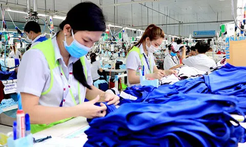Điều tra doanh nghiệp năm 2022 phục vụ công tác quản lý, điều hành, đánh giá và dự báo