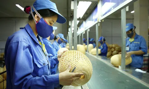 Ưu đãi thuế thu nhập doanh nghiệp đối với doanh nghiệp nhỏ và siêu nhỏ