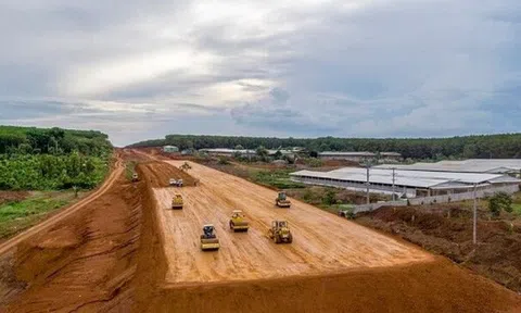 Khẩn trương ban hành Thông tư hướng dẫn các trường hợp chỉ định thầu