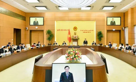Cần phân định rõ trách nhiệm giữa Thủ trưởng cơ quan quản lý Nhà nước và cơ quan thanh tra