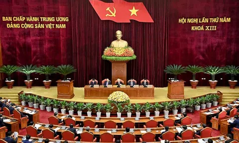 Thống nhất cao thành lập Ban Chỉ đạo cấp tỉnh về phòng, chống tham nhũng, tiêu cực