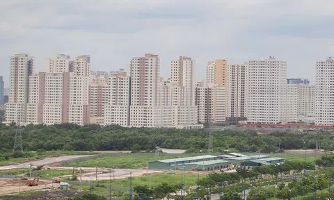 Hội Môi giới BĐS Việt Nam: Luật hoá giao dịch BĐS phải qua sàn là cần thiết
