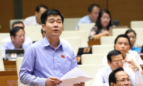 Đại biểu Quốc hội: Thiếu thông tin quy hoạch gây 'sốt' đất ảo, đầu cơ