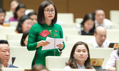 Đại biểu Quốc hội: Sớm luật hóa các quy định về xử lý nợ xấu