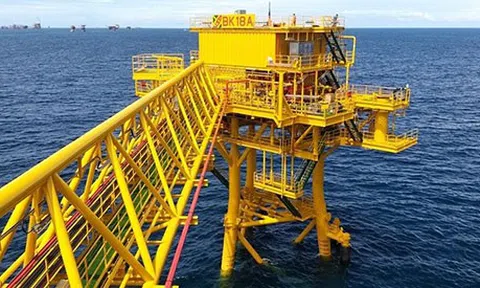 Rà soát, quy định trách nhiệm trong quản lý Nhà nước về dầu khí