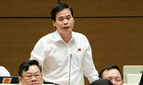 ĐBQH chất vấn Phó Thủ tướng về xử lý trách nhiệm trong chậm cổ phần hoá