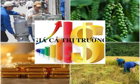 Sửa Luật Giá, khắc phục hạn chế sau hơn 9 năm thi hành