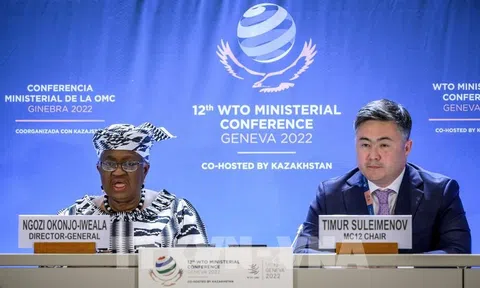 Hội nghị Bộ trưởng WTO lần thứ 12: Việt Nam ủng hộ hệ thống thương mại đa phương