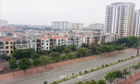 Hà Nội siết chặt quy định đấu giá đất: Tránh tạo ra thị trường 'ảo'