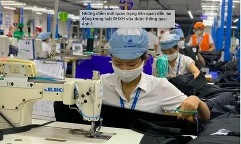 Những điểm mới quan trọng liên quan đến lao động trong luật BHXH vừa được thông qua