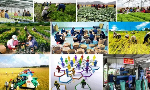 Các đạo luật lĩnh vực tài chính, kinh tế với hàng loạt chính sách mới có hiệu lực từ 1.7