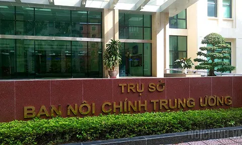 Chi hội Luật gia Ban Nội chính Trung ương hướng tới Đại hội lần thứ XIV Hội Luật gia Việt Nam, nhiệm kỳ 2024-2029