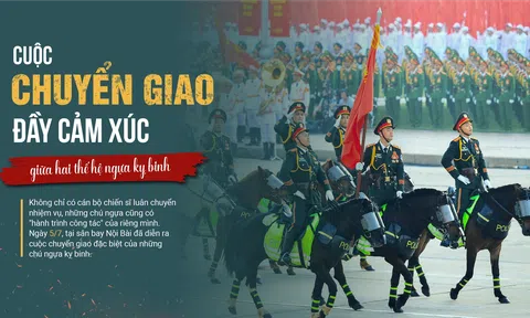 Cuộc chuyển giao đầy cảm xúc giữa hai thế hệ ngựa kỵ binh