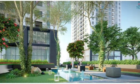 Dự án Rose Town thanh khoản ấn tượng bất chấp thị trường ảm đạm