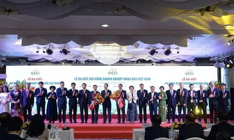 Bộ ba Chủ tịch FPT – THACO – VCCI dẫn dắt nhóm doanh nghiệp "sếu đầu đàn" của Việt Nam