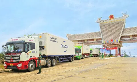 THILOGI nâng cao năng lực vận tải đường bộ nội địa phục vụ khách hàng