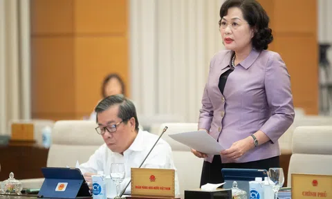 Đề xuất cho Ngân hàng Nhà nước quyền “điều tra vi phạm pháp luật về ngân hàng”