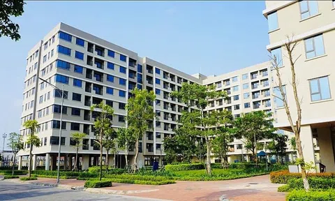 Quy định mới về chọn chủ đầu tư dự án NƠXH qua hình thức đấu thầu