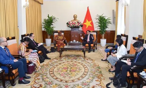 Việt Nam luôn nỗ lực phát huy vai trò chủ động, tích cực tại các khuôn khổ hợp tác của WTO