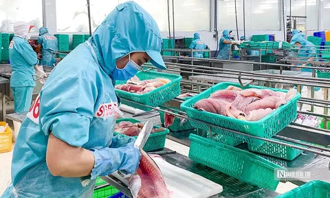 Loạt dài giải pháp Ban IV đề xuất "cứu nguy" cho doanh nghiệp