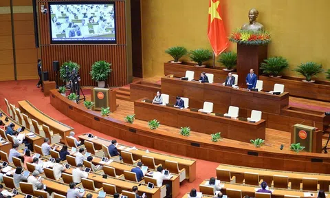 Không để tình trạng cài cắm “lợi ích nhóm” trong xây dựng luật